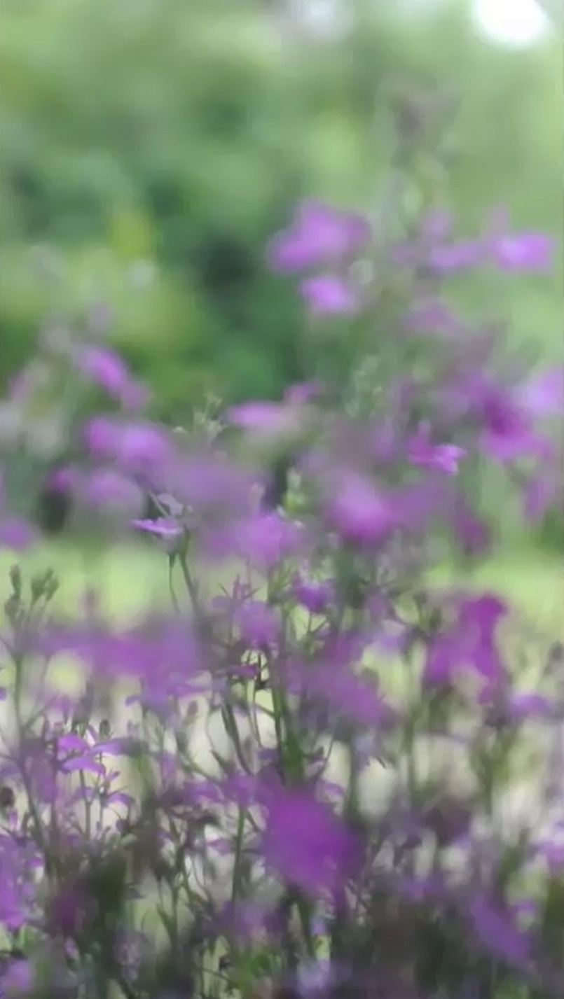 bild:  ausklang am fleet - exhibition view